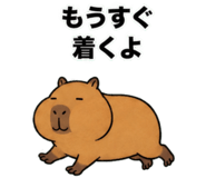 881368806