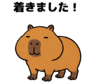 881368809
