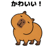 881368810