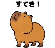 881368811