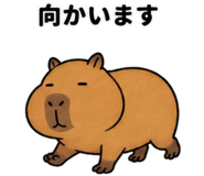 881368817
