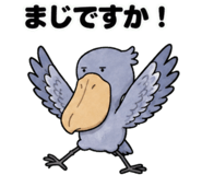 881368988