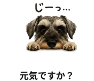 881370760