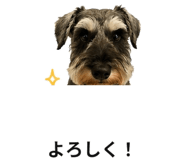 881370767