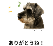 881370768