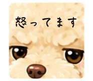 881384949
