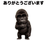 881388146