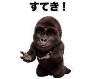 881388163