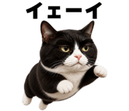 881388550