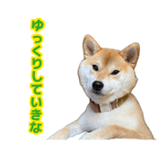 881390817