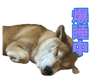 881390819