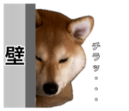 881390823