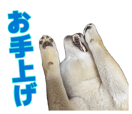 881390824