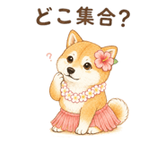 881391079