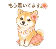 881391081
