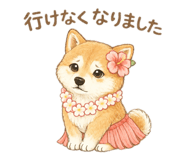 881391085