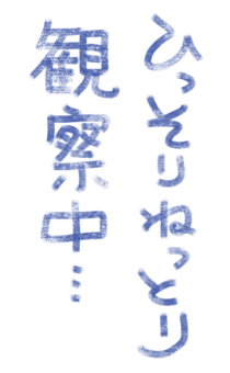 881391681