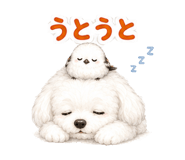 881396203