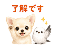 881396494