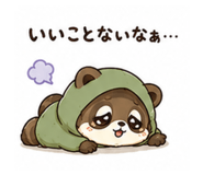 881397116