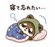 881397117