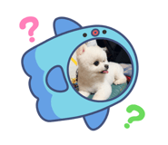 881397683