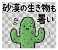 881399017