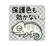 881399018