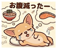 881399241