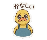 881403011