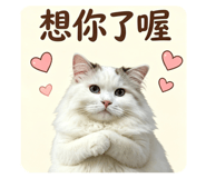 881403105