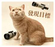 881403413