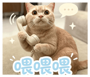 881403425