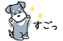 881408519
