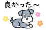 881408520