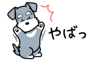 881408521
