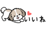 881408893