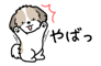 881408897