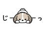 881408900