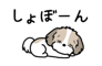 881408903