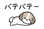 881408904