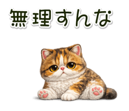 881409289