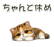 881409290