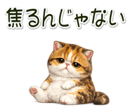 881409293
