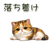 881409294