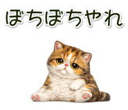 881409296
