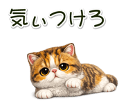 881409297