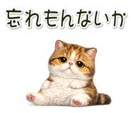 881409298