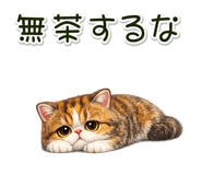 881409313