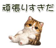 881409314
